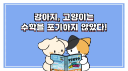 비마이펫_강아지의 숫자 세기